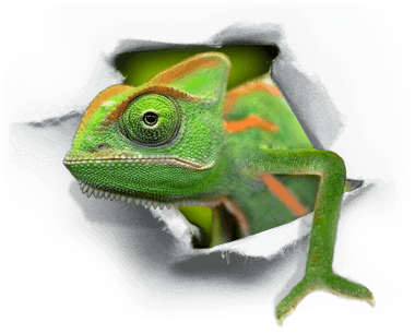 Chameleon WebPrezent