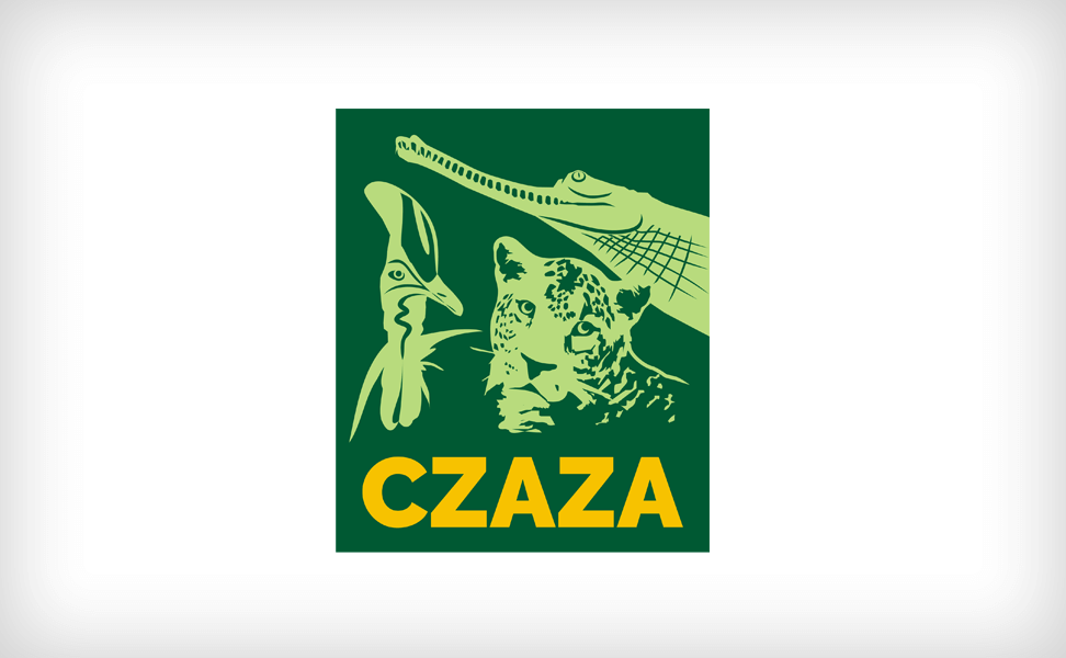 logo-czaza